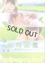 【映画パンフレット】 『植物図鑑 運命の恋、ひろいました』 出演:岩田剛典.高畑充希