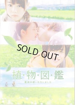 画像1: 【映画パンフレット】 『植物図鑑 運命の恋、ひろいました』 出演:岩田剛典.高畑充希