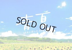 画像1: 【映画パンフレット】 『青夏 きみに恋した30日』 出演:葵わかな.佐野勇斗.古畑星夏