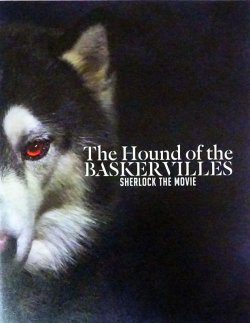 画像1: 【映画パンフレット】 『バスカヴィル家の犬　シャーロック劇場版』 出演:ディーン・フジオカ.岩田剛典.広末涼子